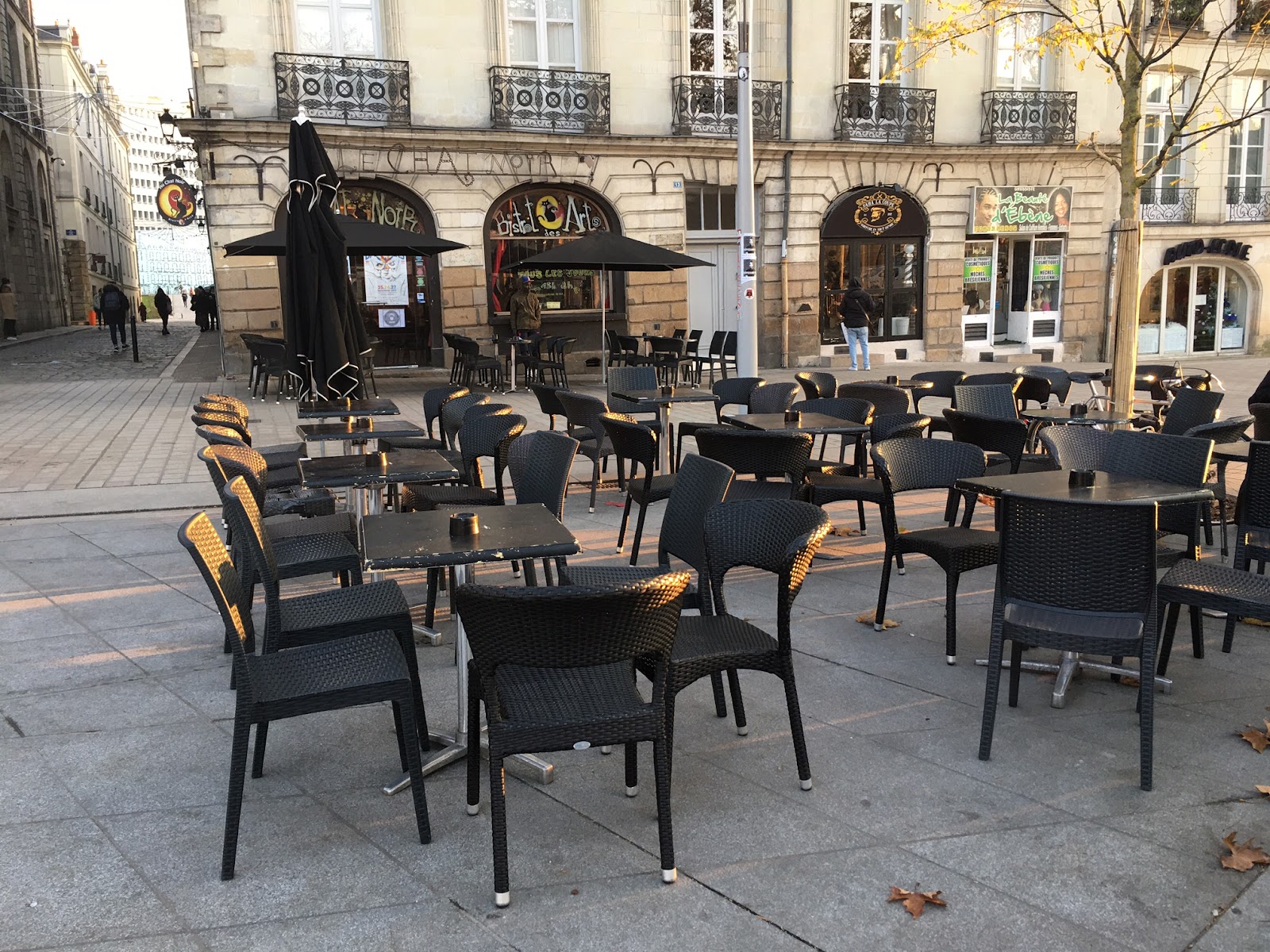 Le Chat noir